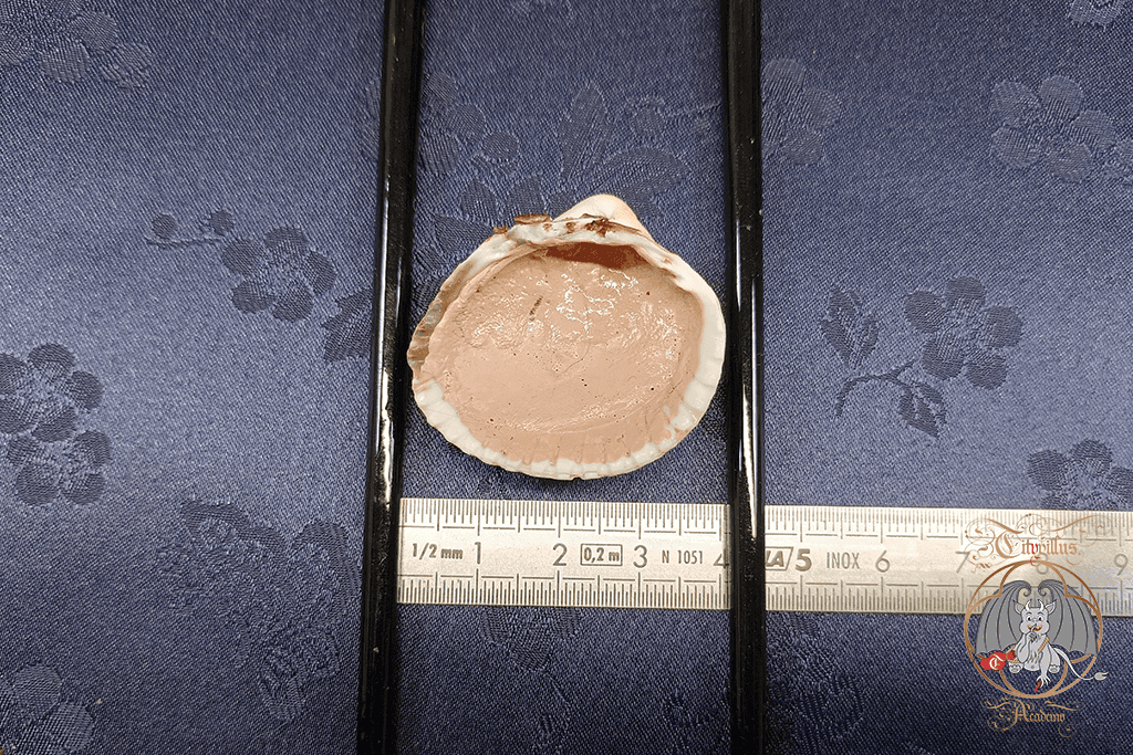 Gesso traditionnel — miniature 5