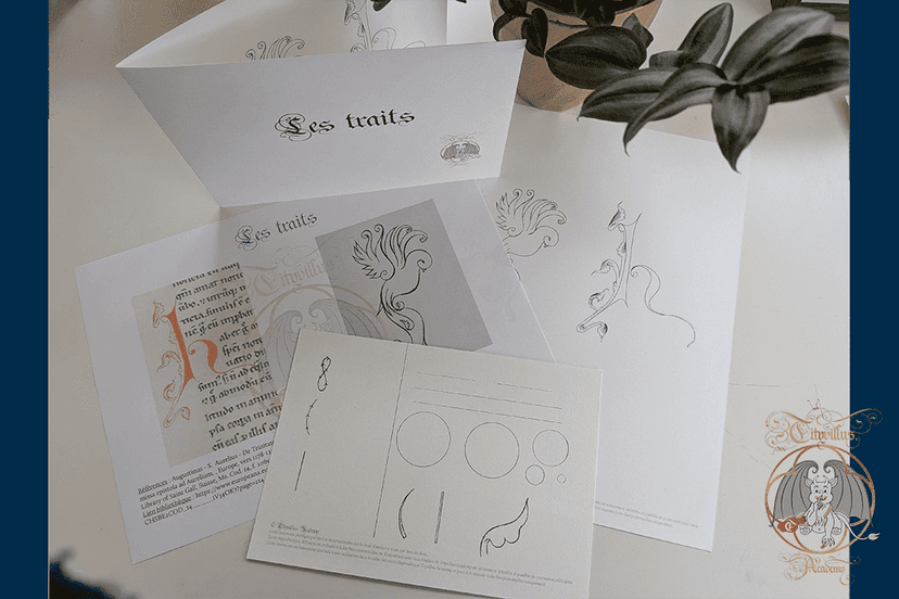 Les traits sujets impirmés