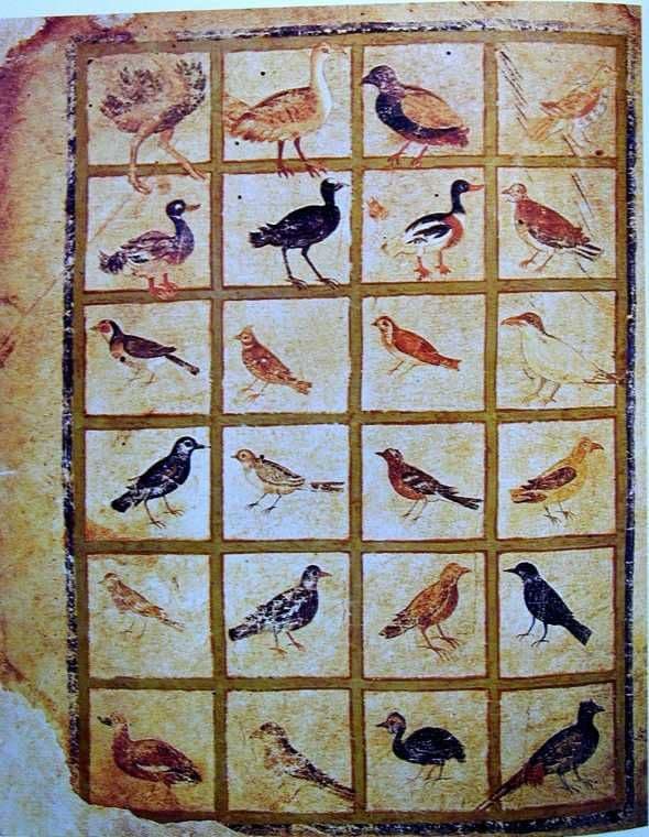 6-ViennaDioscoridesFolio483vBirds.jpg